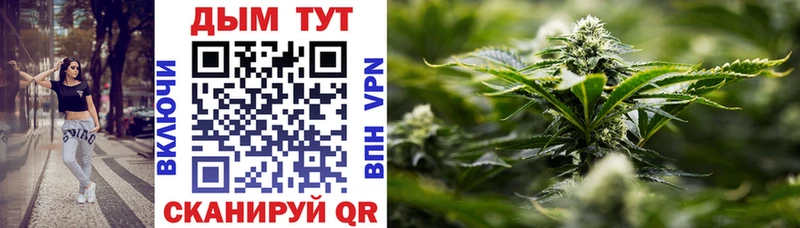 Где продают наркотики Заозёрск Alpha PVP  АМФ  Марихуана  ГАШИШ 
