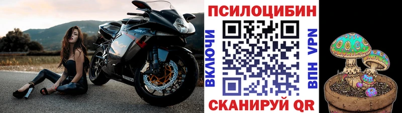 гидра ССЫЛКА  Заозёрск  Галлюциногенные грибы GOLDEN TEACHER 
